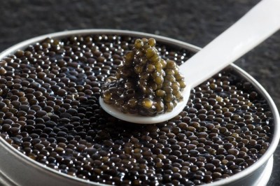 caviar-sturia1