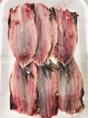 sardina-sense-espines